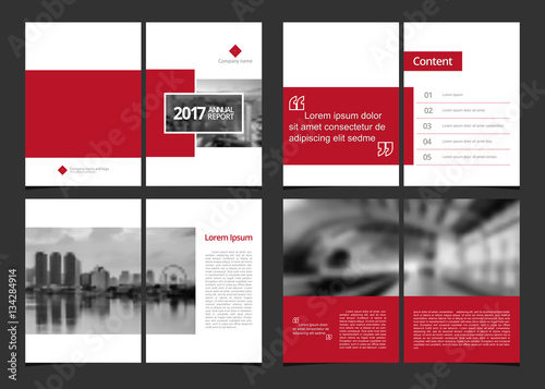 Corporate design annual report or catalog, magazine, flyer, booklet, brochure. Set include cover design template and inner page layout size A4 vector EPS-10 and sample image with Gradient Mesh.