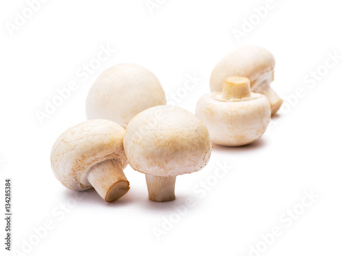 Group of Five Natural Organic Champignon Mushrooms Isolated on White