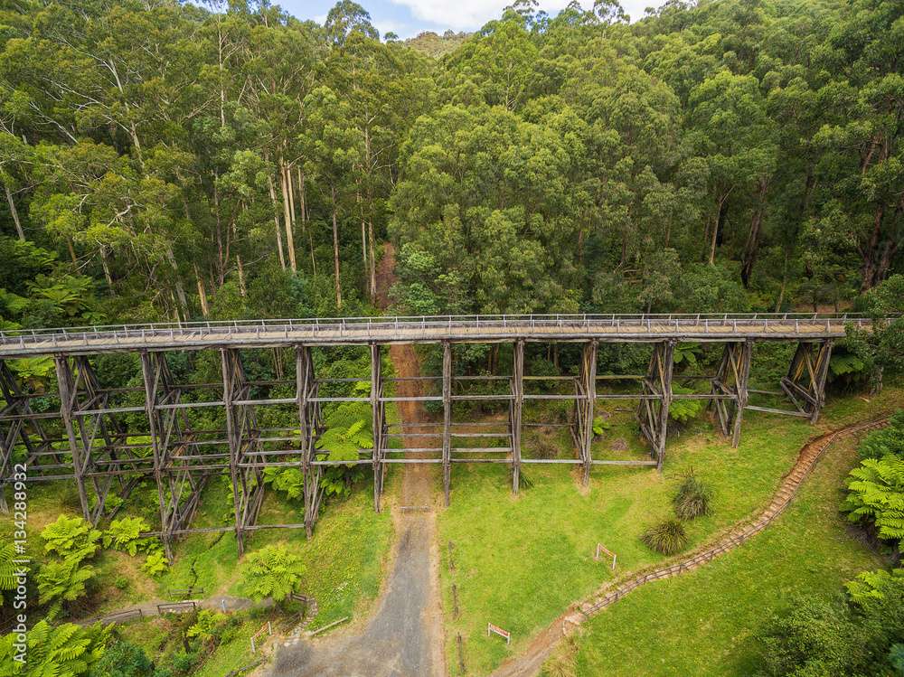 Aerial view of old trestle bridge among ferns and eucalyptuses in Victoria, Australia