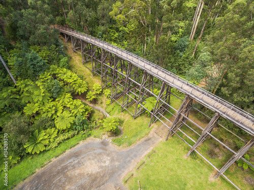 Vintage trestle bridge in Australian forest - aerial view. photo