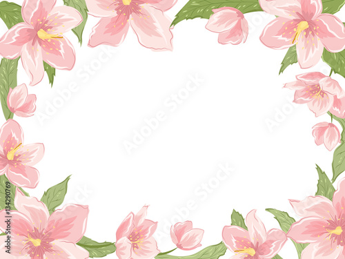 Rectangular border frame template with pink sakura magnolia hellebore flowers on white background. Horizontal landscape orientation. Vector design illustration blooming floral wreath garland foliage.