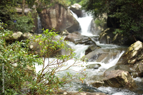 Fototapeta Naklejka Na Ścianę i Meble -  Khao Cha Mao Waterfall in Rayong Thailand