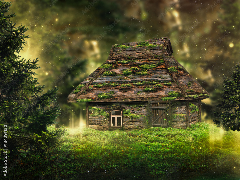 magical old house in the fairy forest Stock Photo | Adobe Stock