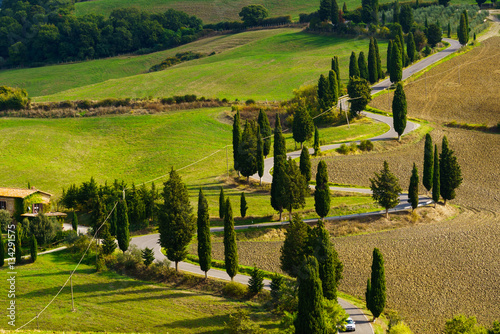 Tuscany Landscape (brighter)