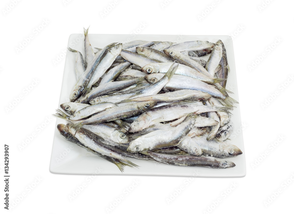 Frozen baltic herring on a square white dish Frozen baltic herring on a square white dish