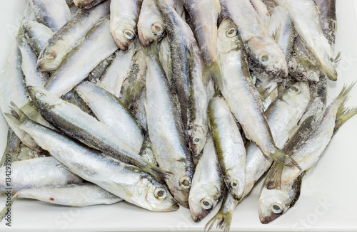 Frozen baltic herring closeup