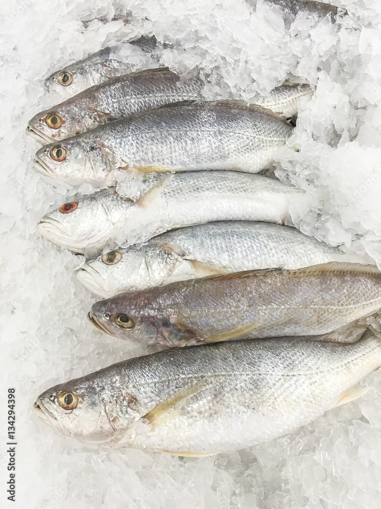 White croaker fish fresh in ice sell on market. White croaker fish fresh in ice sell on market.