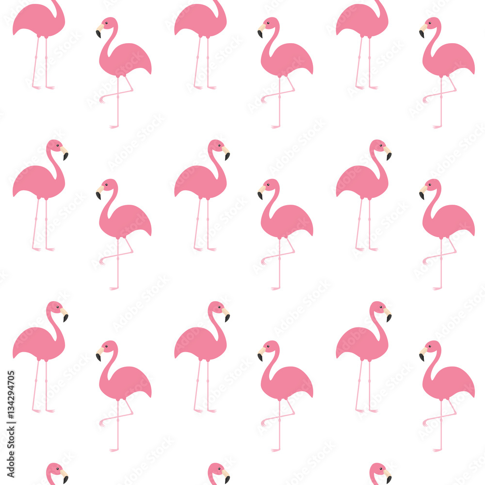 Fototapeta premium Flamingo set. Seamless Pattern Exotic tropical bird. Zoo animal collection. Cute cartoon character. Decoration element. White background. Isolated. Flat design.