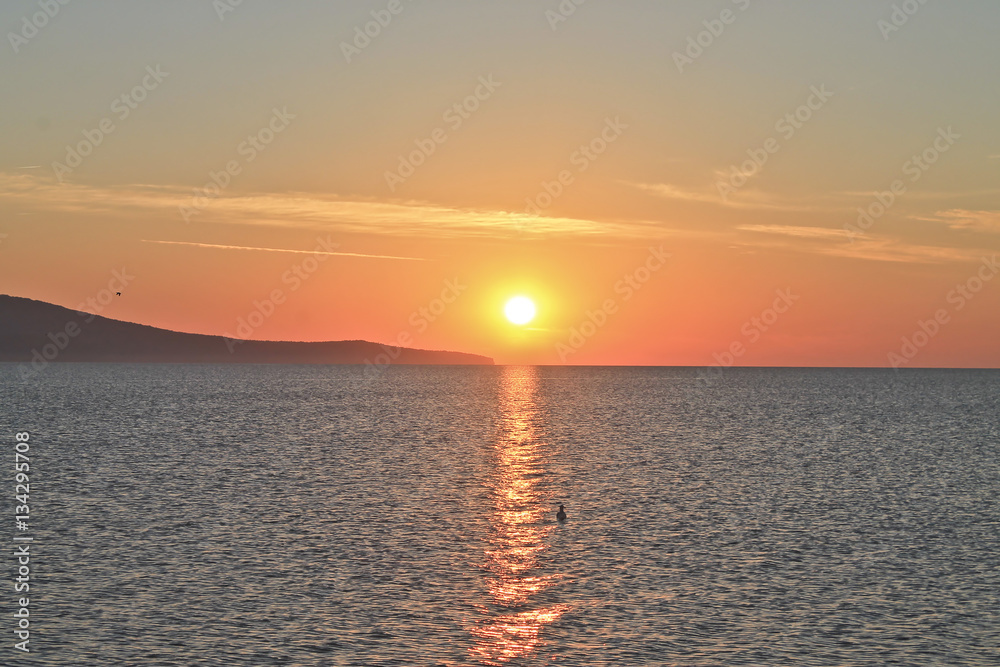 Naklejka premium Sunrise over the ocean with beatiful gulls and seagulls