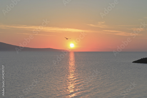 Sunrise over the ocean with beatiful gulls and seagulls