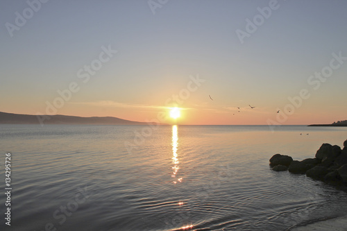 Sunrise over the ocean with beatiful gulls and seagulls