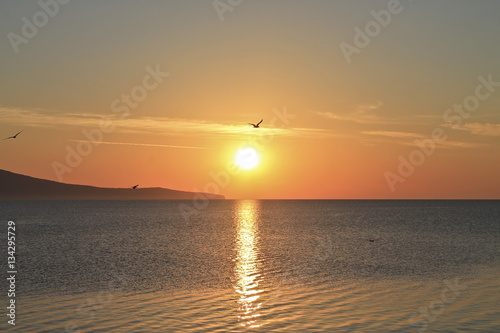 Sunrise over the ocean with beatiful gulls and seagulls