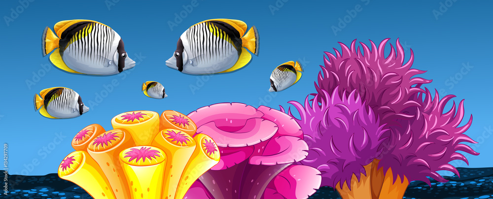 Fototapeta premium Fish and coral reef under the sea