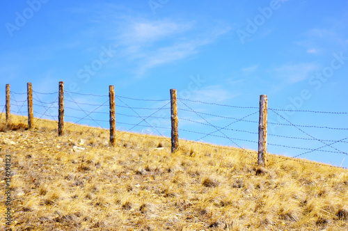 A fence of barbed wire on a background of yellow grass and blue sky