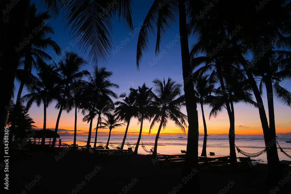 Beautiful Sunrise on Coconut Tree Lined Beach, Panglao Beautiful Sunrise on Coconut Tree Lined Beach, Panglao
