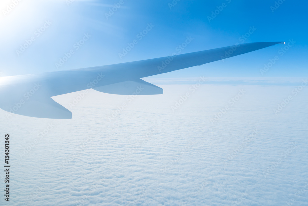 Fototapeta premium The wing in the sky on the background of the bright sun