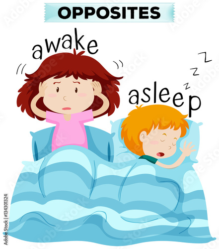Opposite words for awake and asleep