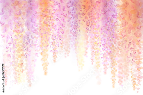 Fototapeta Naklejka Na Ścianę i Meble -  Spring background with blooming wisteria