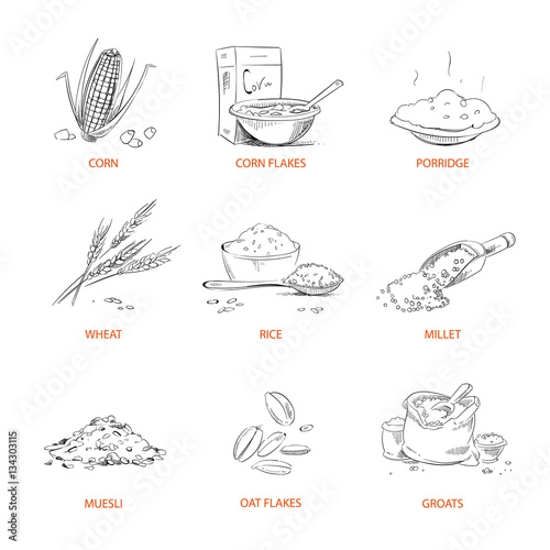 Doodle cereals groats, porridge, muesli, cornflakes, oat, rye, wheat, barley, millet, buckwheat, rice, corn vector set