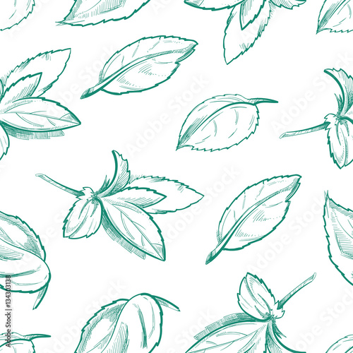 Eco peppermint tea, fresh mint leaves, menthol seamless vector background