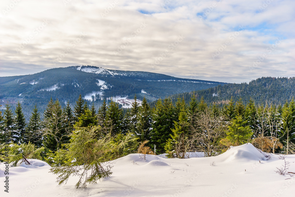Fototapeta premium Wälder und Berge im Winter