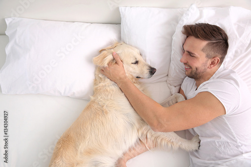 Wallpaper Mural Handsome man lying with Labrador retrievers at bed Torontodigital.ca