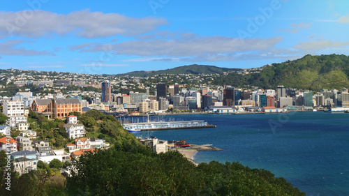Panoramic view of Wellington, New Zealand © NMint