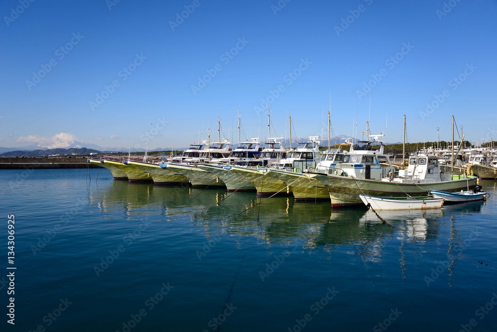 群青色した茅ヶ崎漁港の海に整然と並ぶの釣り船
真っ青な漁港の海面と整然と並ぶ釣り船が美しい。