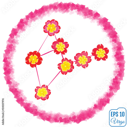 Zodiac sign Virgo. Primrose concept. Flowers concept. Constellat