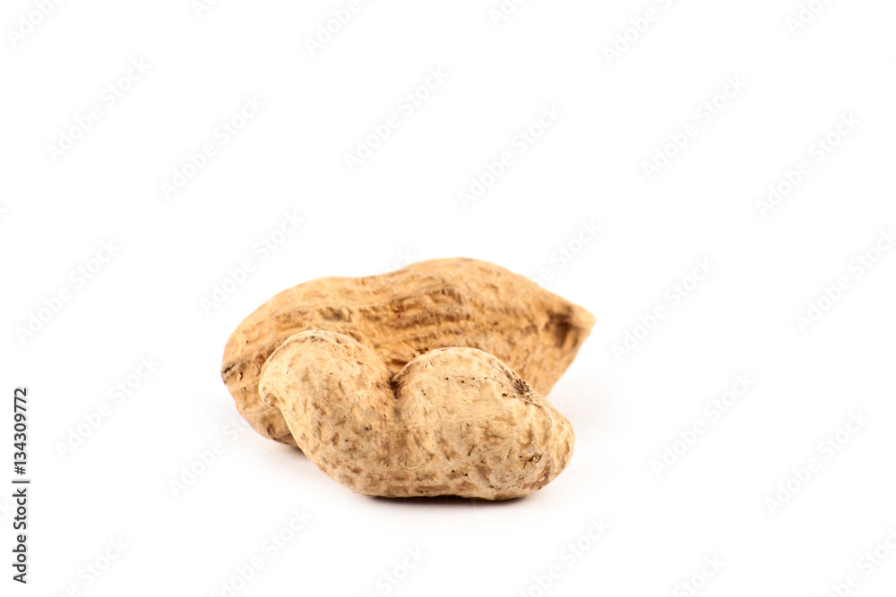 Roasted peanuts in shell Roasted peanuts in shell