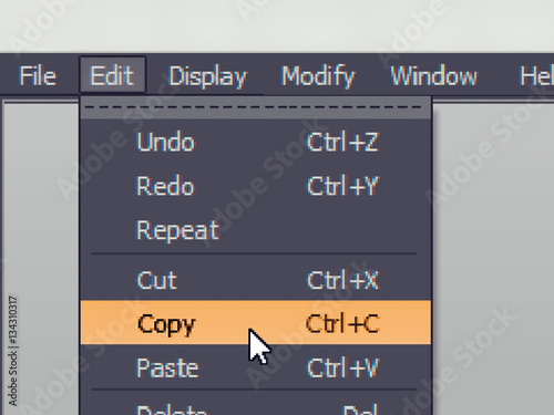 Software menu item with copy command