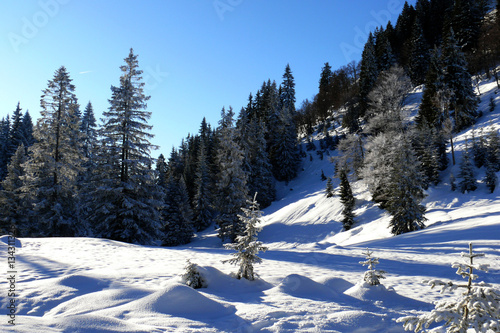 Eine Winterlandschaft im Allgäu