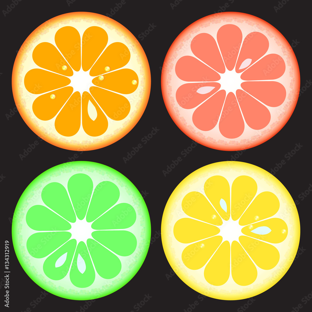 set of juicy citrus circles slices lime lemon grapefruit orange set of juicy citrus circles slices lime lemon grapefruit orange