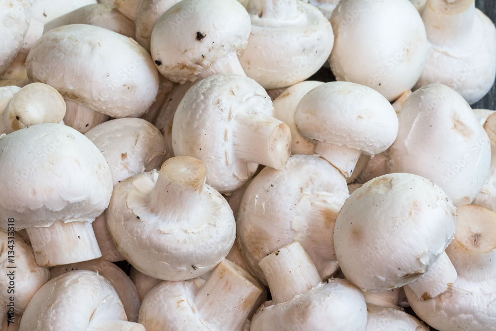 Gros champignons de Paris - Agaricus bisporus - en tas