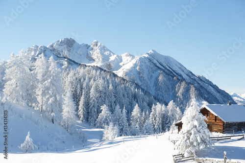 Verschneite Winterlandschaft  Austrian Alps