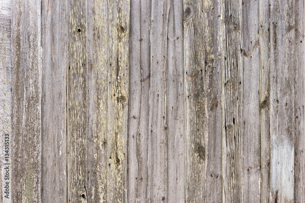 Naklejka premium The old wood texture with natural patterns