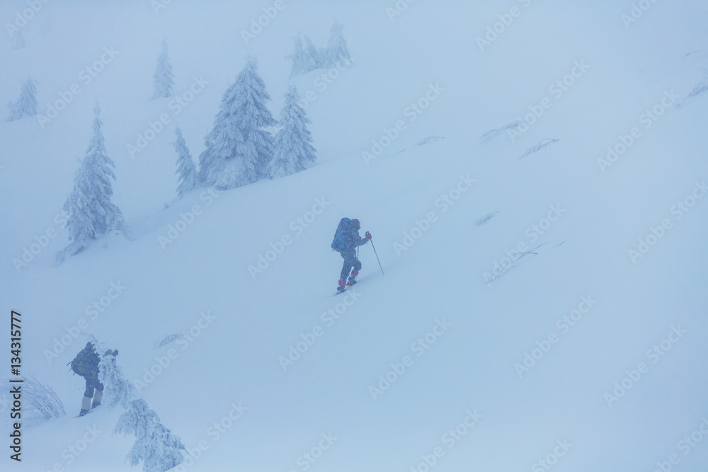 Winter hike