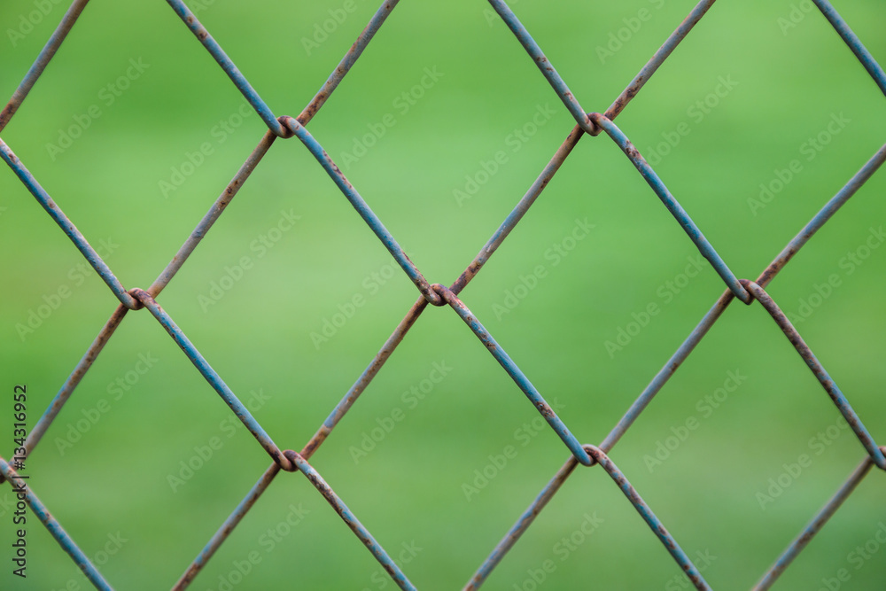 Fototapeta premium Square wire wall with blurry green background