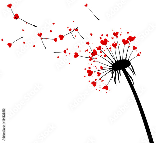 Valentine's background with love dandelion.