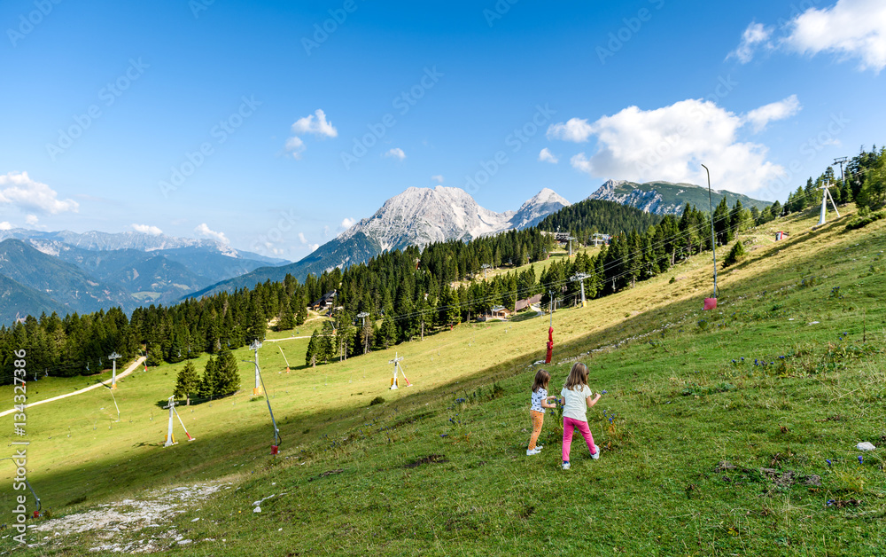 Naklejka premium Children - twin girls are hiking in the mountains.