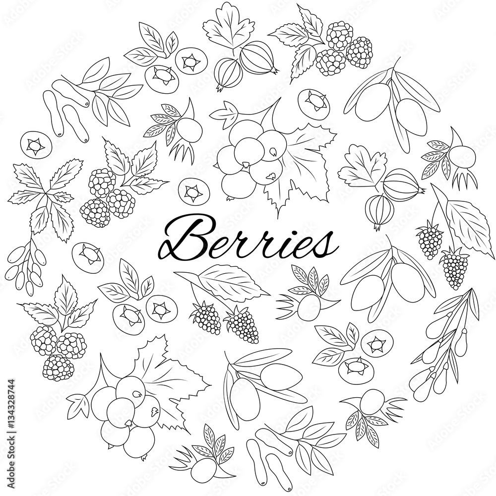 Hand drawn outline berries isolated. Round set.