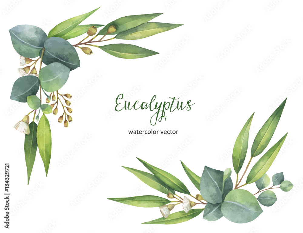 Watercolor vector wreath with green eucalyptus leaves and branches ...