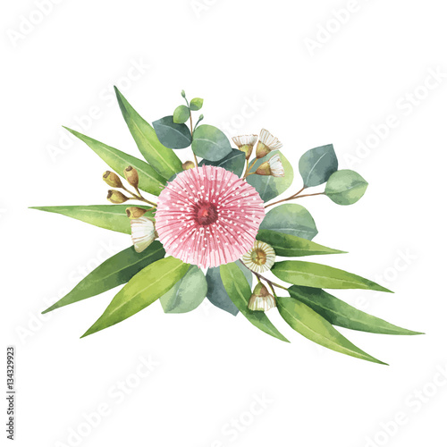 Watercolor vector bouquet with green eucalyptus leaves and branches.