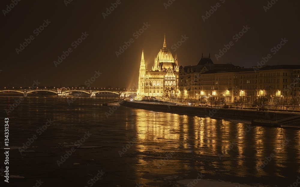 Parliament at nighttime with icy Danube