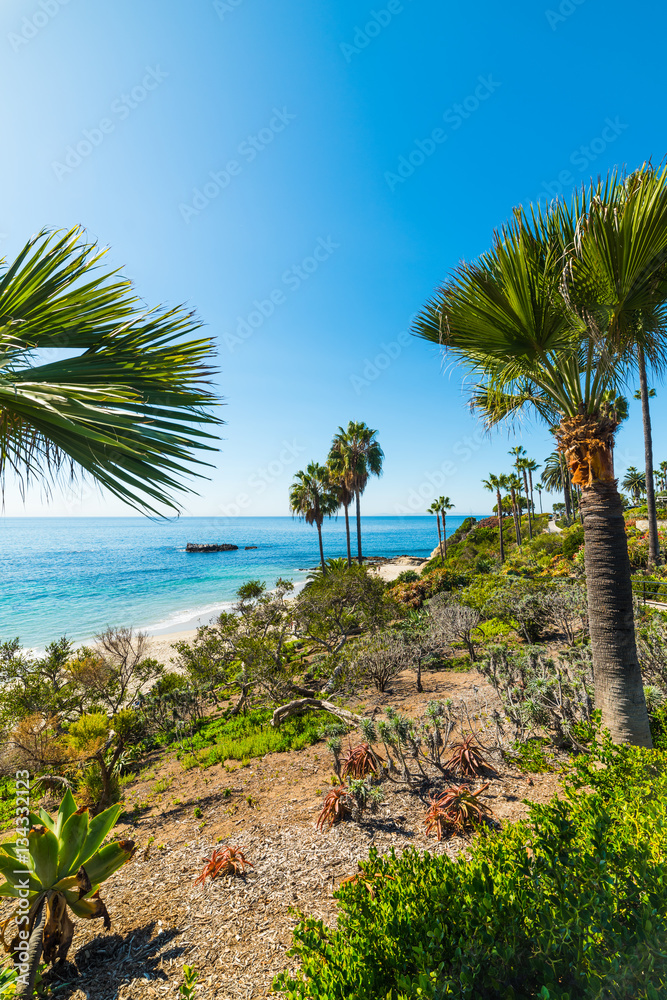 Fototapeta premium Laguna Beach shoreline