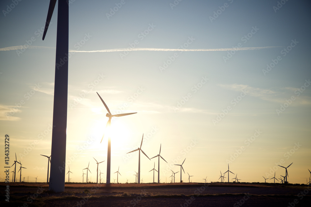 Obraz premium Wind energy