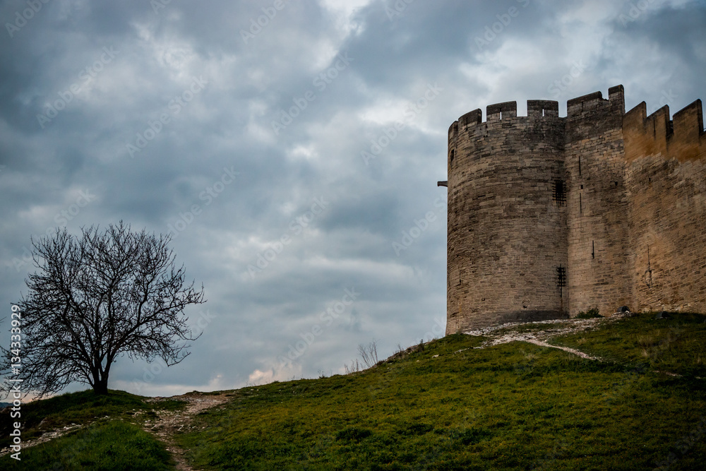 Le Fort Saint-André de Villeneuve-lès-Avignon