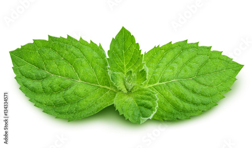 mint isolated on white background