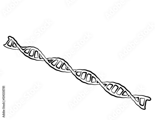 DNA spiral. Isolated on whi...