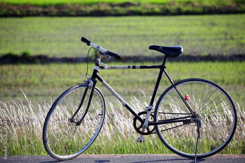 vintage bicycle with rural field background.